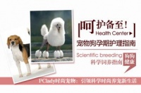 宠物妊娠期护理指南