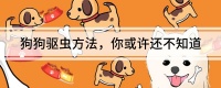 狗狗驱虫方法，你或许还不知道