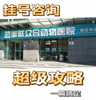 保姆式毛孩子看病挂号方式，建议收藏