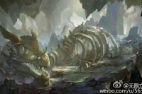 宠物医院全攻略：多久去一次？检查什么？价格如何？