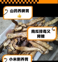 小狗胃部养护食谱（以哪些食物保护小狗胃部健康？）