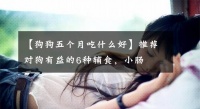 【狗狗五个月吃什么好】推荐对狗有益的6种辅食，小肠