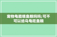 宠物龟能喂鱼粮吗吗;可不可以给乌龟吃鱼粮