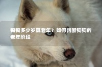 狗狗多少岁算老年？如何判断狗狗的老年阶段