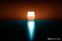 流浪猫救助怎么申请