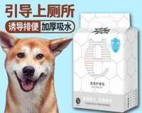 宠物训练(宠物训练技巧)