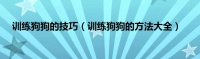 训练狗狗的技巧(训练狗狗的方法大全)