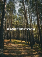 训练狗狗打滚的技巧与方法