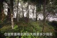 仓鼠必备的东西一共多少钱，仓鼠需要哪些用品大概要多少钱呢