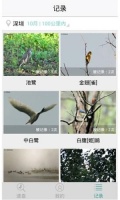 识鸟app哪个好