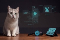 宠物叫声识别技术:如何利用AI大模型提升宠物沟通体验与商业价值