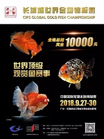 2018“长城杯”世界金鱼锦标赛开始报名