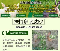 临沂养兔场地址肉兔的养殖技术及方法