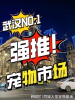 武汉哪里可以买宠物猫狗?这里买宠物放心还能去实体店挑选宠物