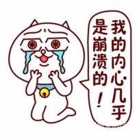 宠物龟之豹纹陆龟
