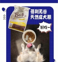 宠物狗狗的微量元素需求（狗狗健康离不开微量元素，详细了解犬类微量元素需求量）