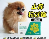宠物狗也会过敏(了解宠物狗过敏症状和应对方法)