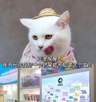 购买宠物前是否需要体检？（铲屎官们必须了解这个重要环节！）