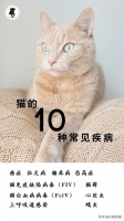 猫的10种常见疾病（2）