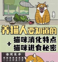 小猫咪的养育指南(以一个月左右的小猫咪为例,如何正确养育)