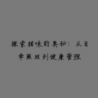 探索猫咪的奥秘：从日常照顾到健康管理