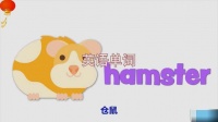 宠物仓鼠的英文表达？hamster单词详解及相关表达
