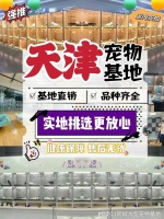天津哪里可以实体店看宠物?这里安全可靠能挑选心仪的宠物哦