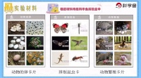 三下第二单元第七课《动物的繁殖》︱科学鱼免费网课