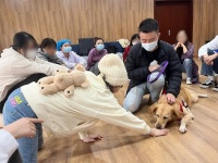 特色治疗