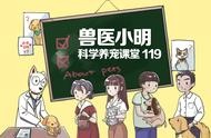 掌握宠物鼠养护技巧，让你的小宠物快乐成长