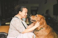 导盲犬是买的还是租的 导盲犬多钱一只?国家有什么补贴吗?