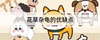 花草杂龟的优缺点