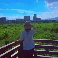 治愈系龟宠视频