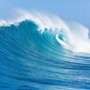水族箱内龙鱼繁殖、生...