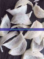 新罗区精选鸟笼市场指南：探寻专业卖场与特色店铺
