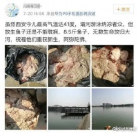 鱼籽放生，选活水环境，细心呵护。