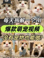 没有宠物也能做20w宠物博主！附制作教程