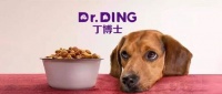 宠物蛋白质补充攻略，营养健康一步到位！