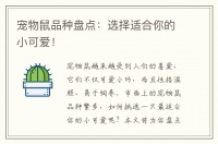 宠物鼠品种盘点：选择适合你的小可爱！