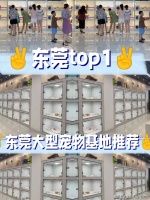 东莞买博美犬哪家宠物店口碑好？东莞这家宠物店良心推荐，信誉高