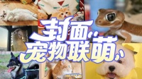 以爱为名，点亮星光！2025封面宠物联“萌”爱心打call通道7月5日开启