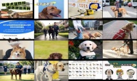 导盲犬品种要求高吗