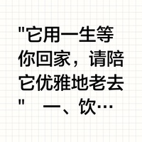 老年犬护理指南｜用爱守护最后的温柔时光