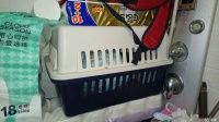 【狗狗用品