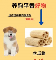 两个月的狗狗如何科学养育（为您揭秘两个月大狗狗的健康养护秘籍）