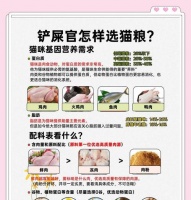 储存猫粮的正确方法和好处是什么？