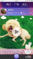 “宠物小技巧：如何用手机APP观察宠物行为？”