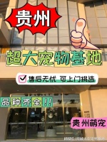 贵阳买宠物到哪里买？这里安全可靠实体店挑选，绝不让你后悔！
