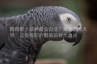 鹦鹉哪个品种最会说话？揭秘语言大师：让你惊叹的鹦鹉品种大盘点