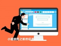 小猫病死之前的征兆